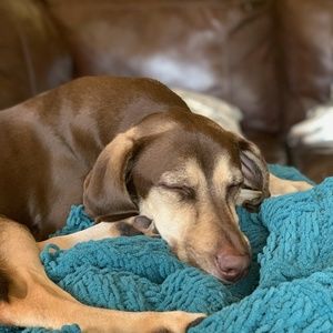 Meet your Posher, Jeff